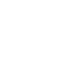 Idea de negocio y startup